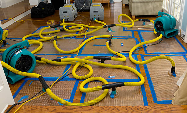 Professional Water Damage Repair technician working in Powellton, WV
